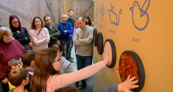 Museo Ciencias Granollers