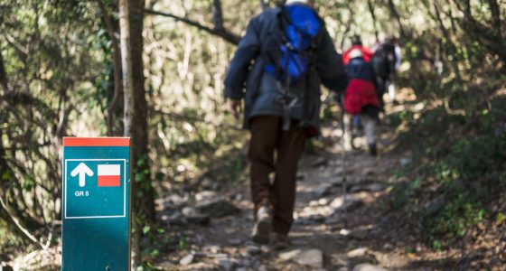 Parque Natural Montseny (3)